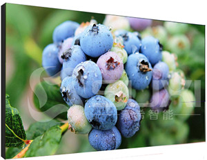 上海液晶拼接屏價(jià)格不斷壓低的原因有哪些呢？